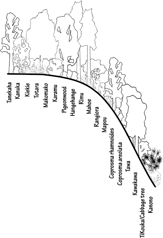 Crest and Hill Slope
